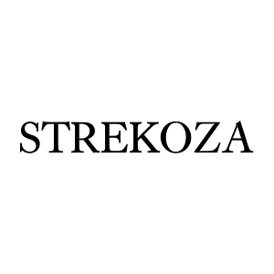 Логотип Стрекоза на Стачек
